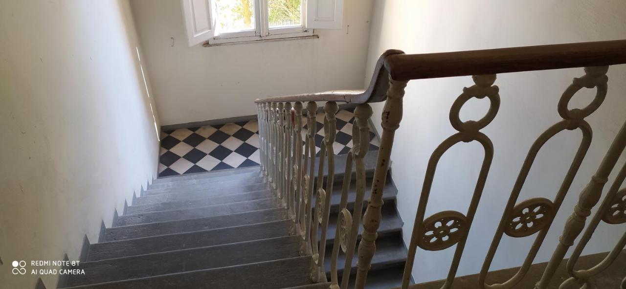 Ferienwohnung Desiderio Pisa Exterior foto