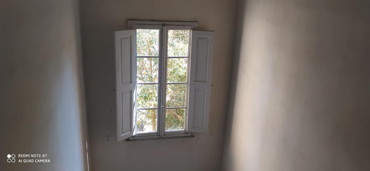 Ferienwohnung Desiderio Pisa Exterior foto
