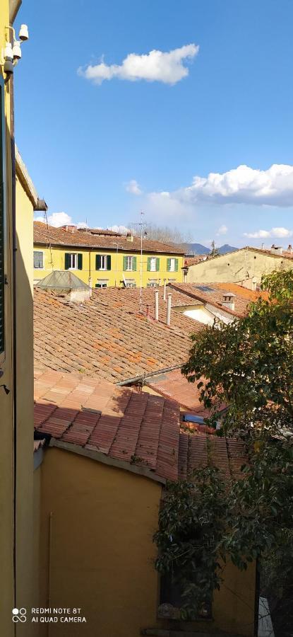 Ferienwohnung Desiderio Pisa Exterior foto